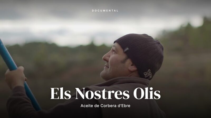Els Nostres Olis: Aceite de Corbera d’Ebre
